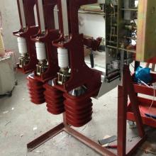 FZN25-12/12D/630-20 電動真空負(fù)荷開關(guān)正品現(xiàn)貨，包郵
